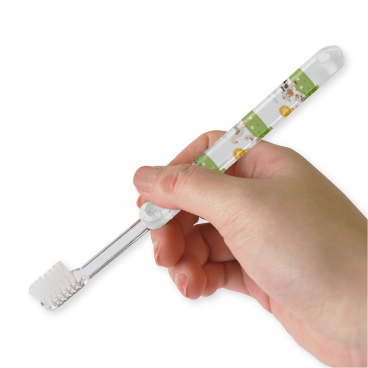 フルカラー歯ブラシ